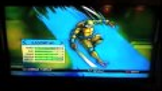 Turtles In Time In Action